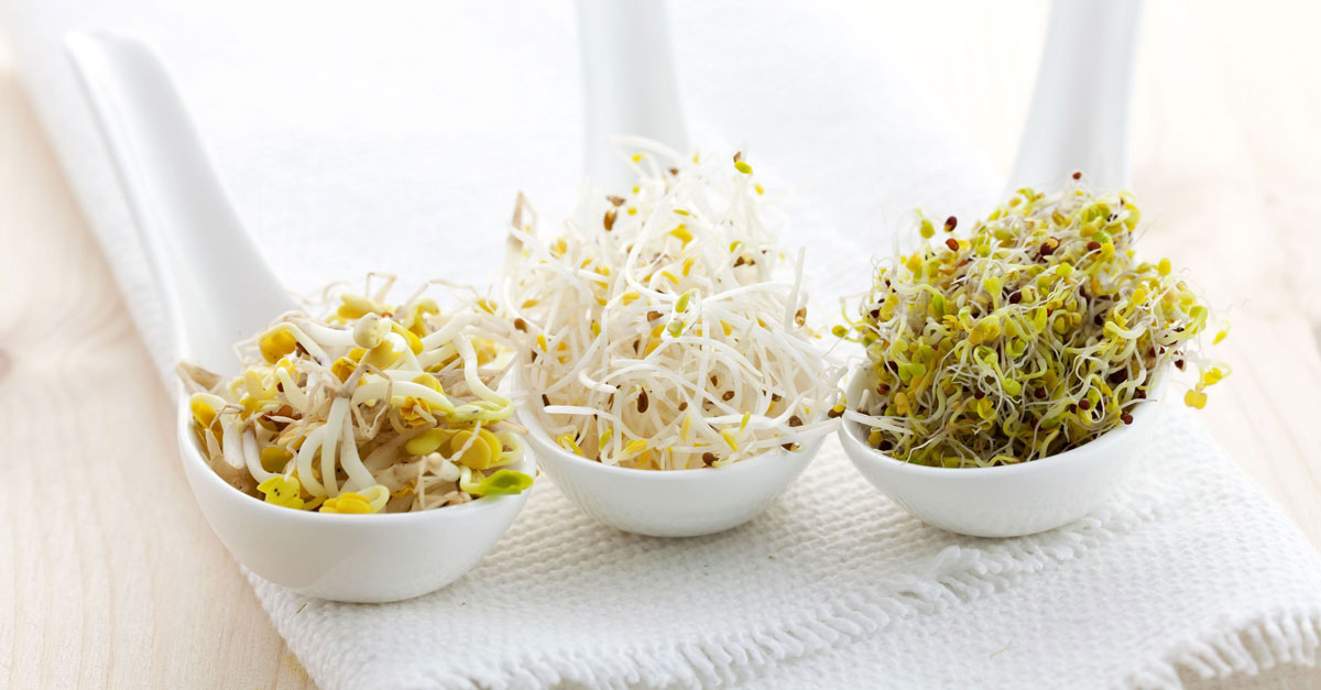 eating-raw-sprout-benefits-risks-women-fitness-org