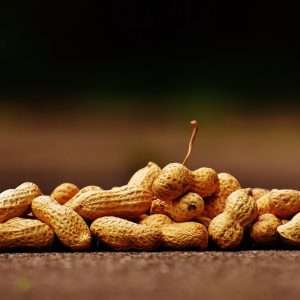 Peanuts – How Can It Benefit Your Health?