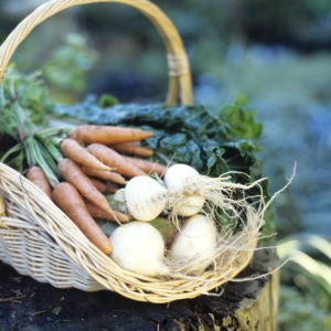 Celebrating Earth Day with Underground Vegetables