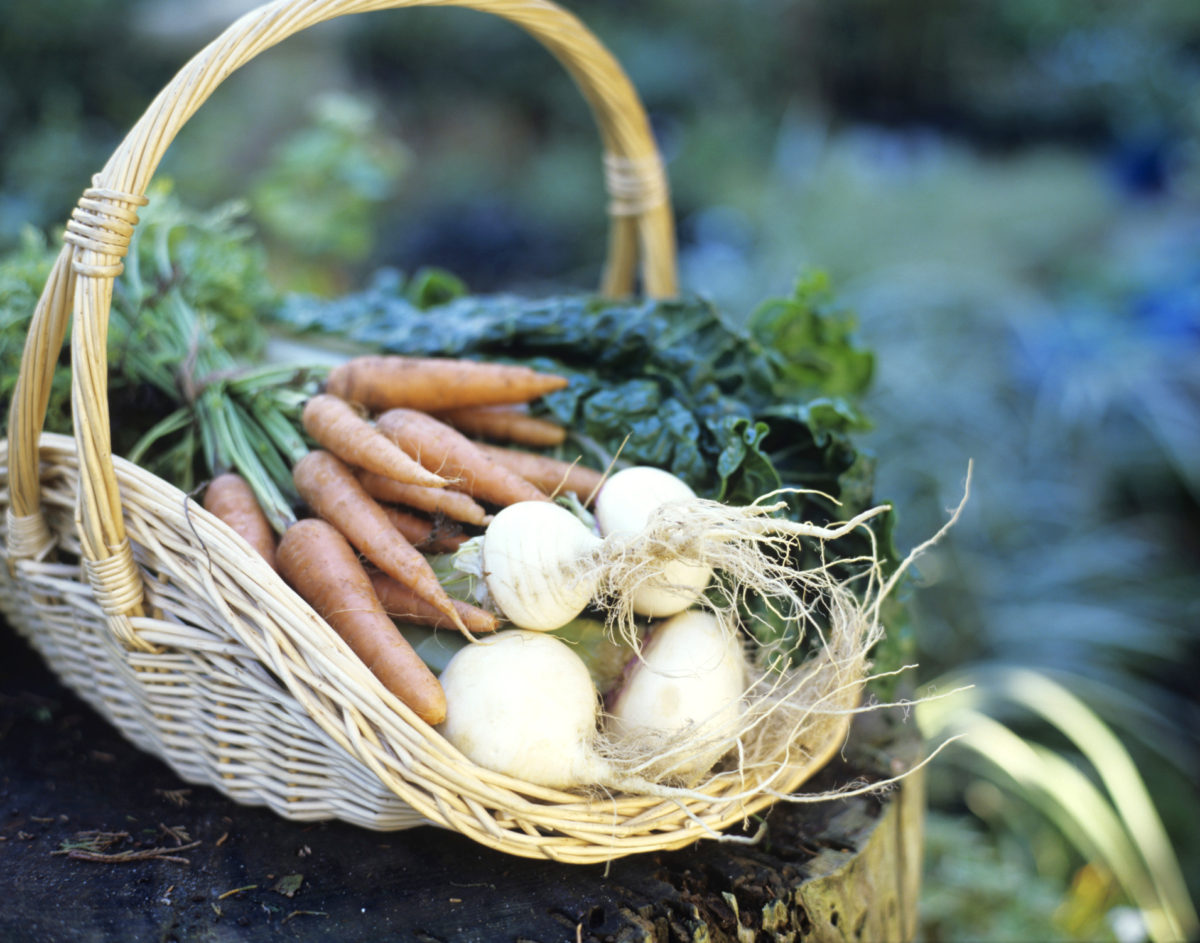 Vegetables you can steam фото 34