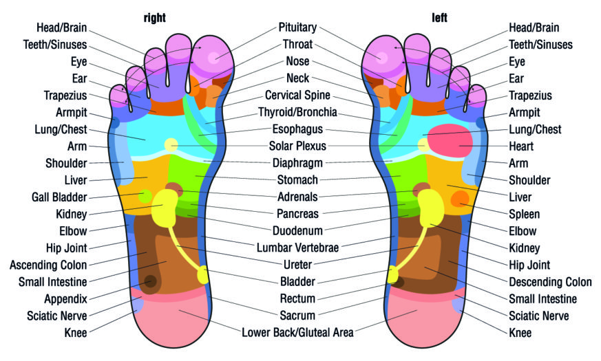 How to Relieve Hip & Knee Pain with Reflexology - Howcast