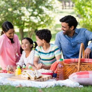 Picnic Special: Convenient, Delicious, and Wholesome Treats