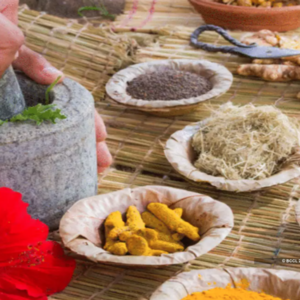 Ayush gets big boost in Northeast India