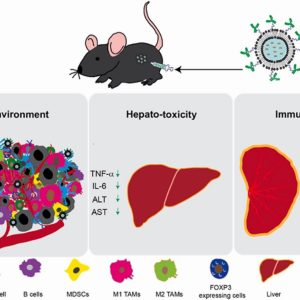 IIT Delhi Scientists Working on Cure for Brain Cancer Gets Promising Results in Pre-Clinical Trials